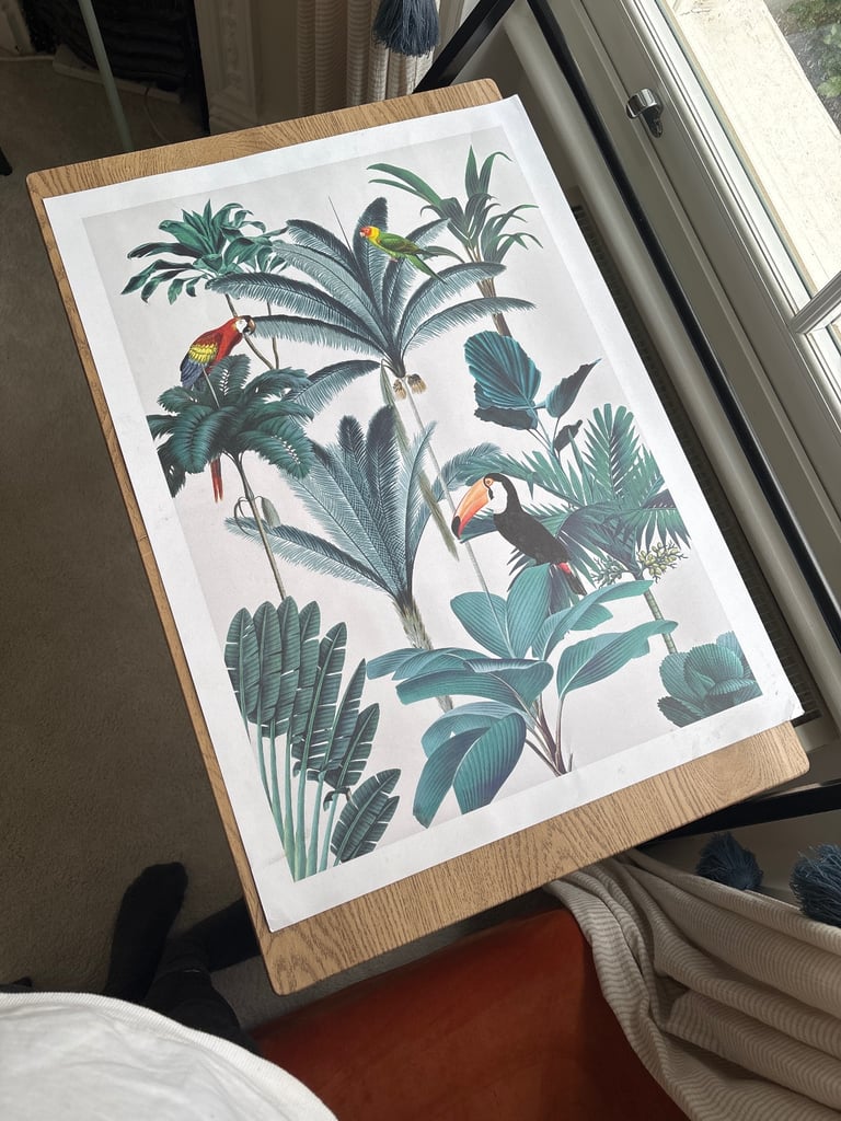 image for Tropical birds print 