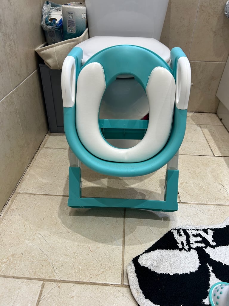 Ladder toilet seat 