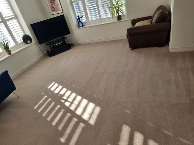 image for Professional Carpet & Upholstery Cleaning Services 