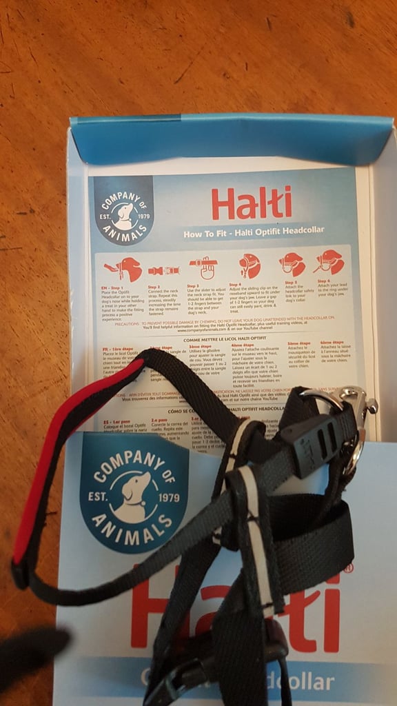 Halti headcollar for small dogs 
