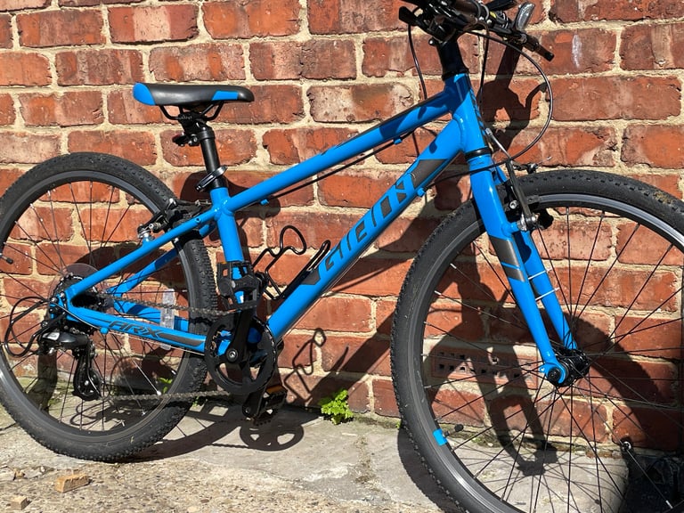 Bicycle giant in Sunderland Tyne and Wear Bikes Bicycles Cycles for Sale Gumtree