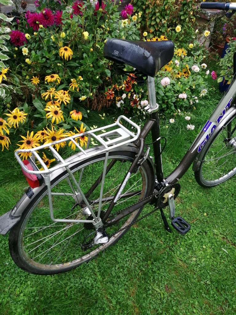 Ladies Giant Bicycle 