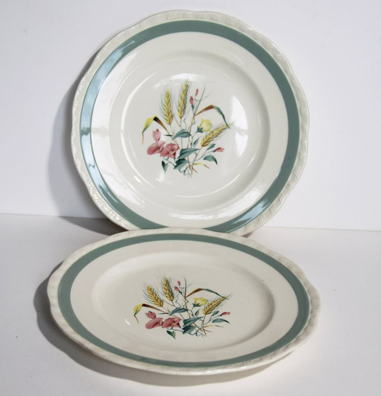 2 x VINTAGE ALFRED MEAKIN DINNER PLATES HARVEST BOUQUET 22cm | in ...