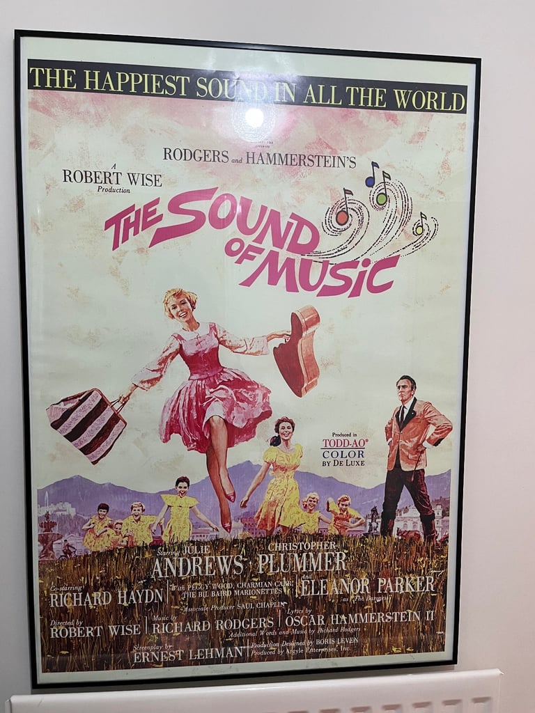 A1 posters  black framed