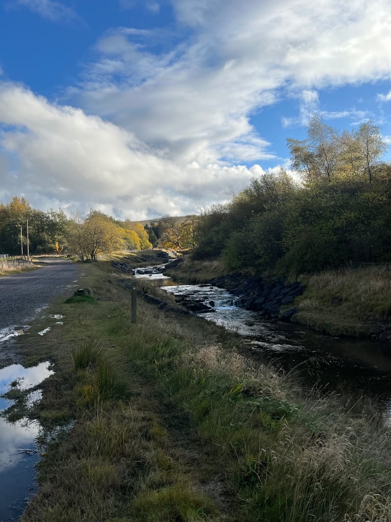 Citroen, DISPATCH, Panel Van, 2015, Manual, 1560 (cc)