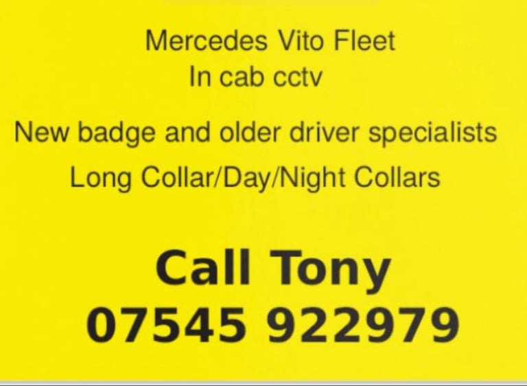 Taxi Cab long collar available 