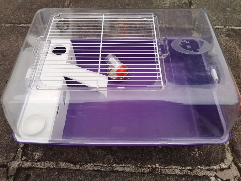 image for Hamster/gerbil house