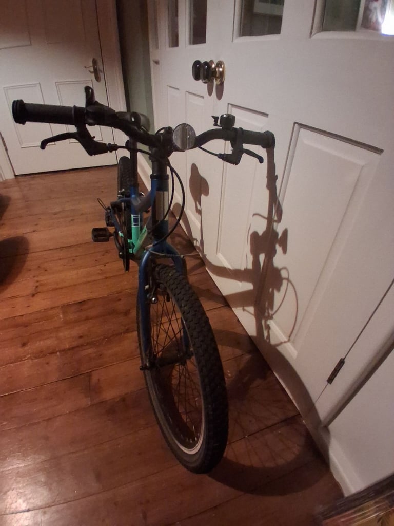 Kids Bike 20inch Pinnacle Ash