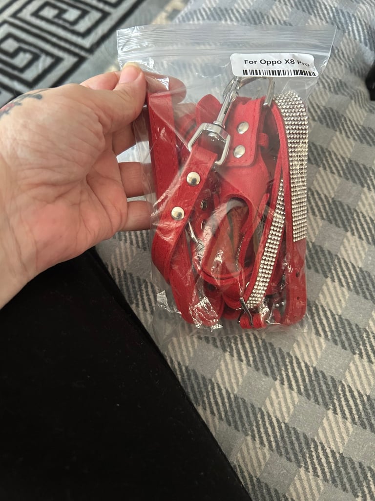 Dog collar and lead 