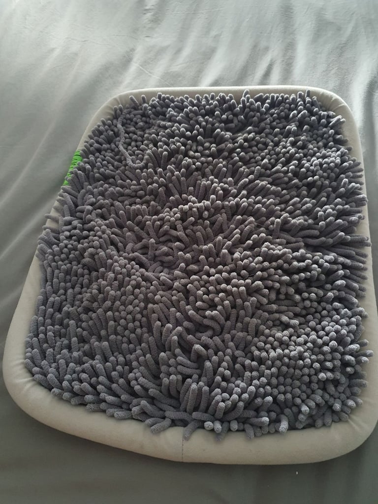 Assorted Dog Training Accessories