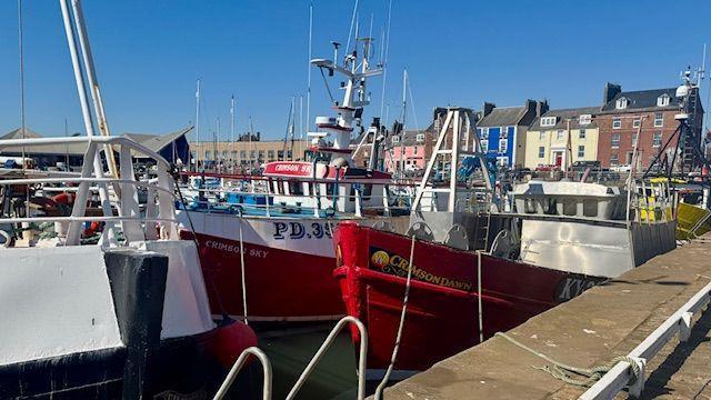 Willerby Malton in Angus  - Lodge / Caravan 