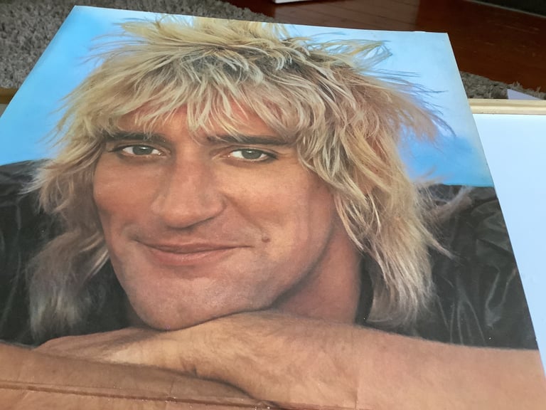 Vinyl Album Rod Stewart Blondes Have More Fun