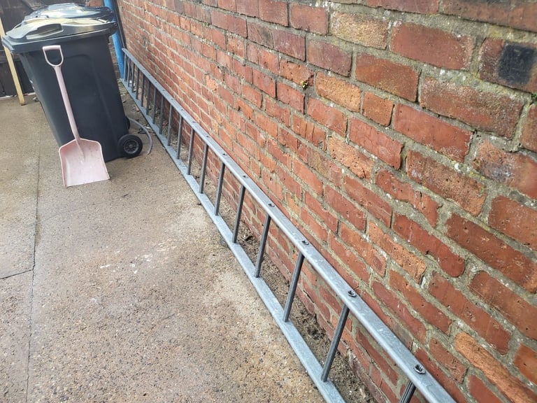 25ft scaffold ladder