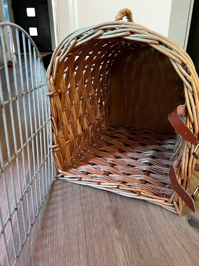 🧺 Vintage Wicker Pet Carrier / Cat or Small Dog Basket 🐾