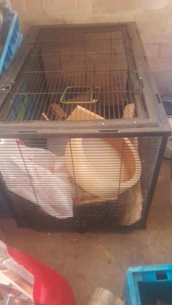 Hamster cage 