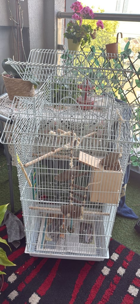 image for Large cage for Lovely birds or small birds