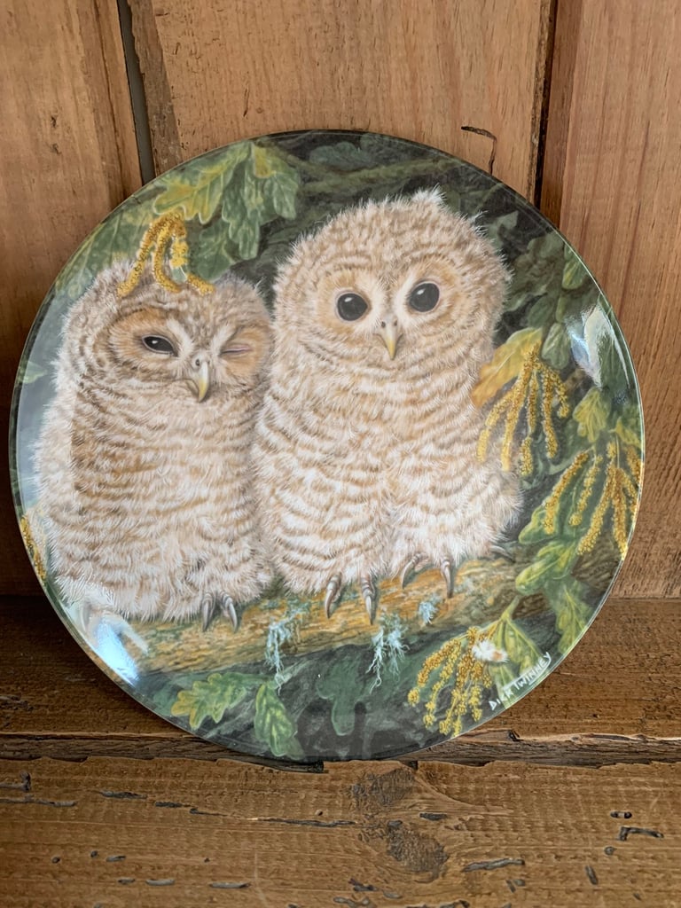 Wedgewood Collector’s Plates “The Baby Owls”