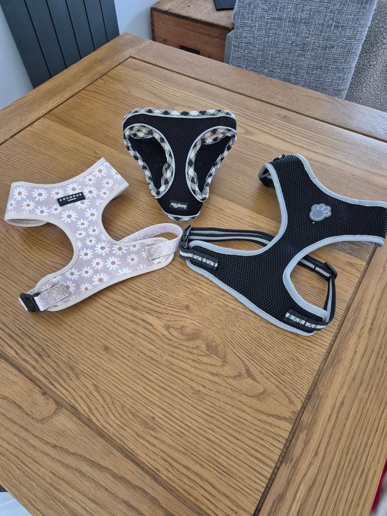 Dog harnesses 