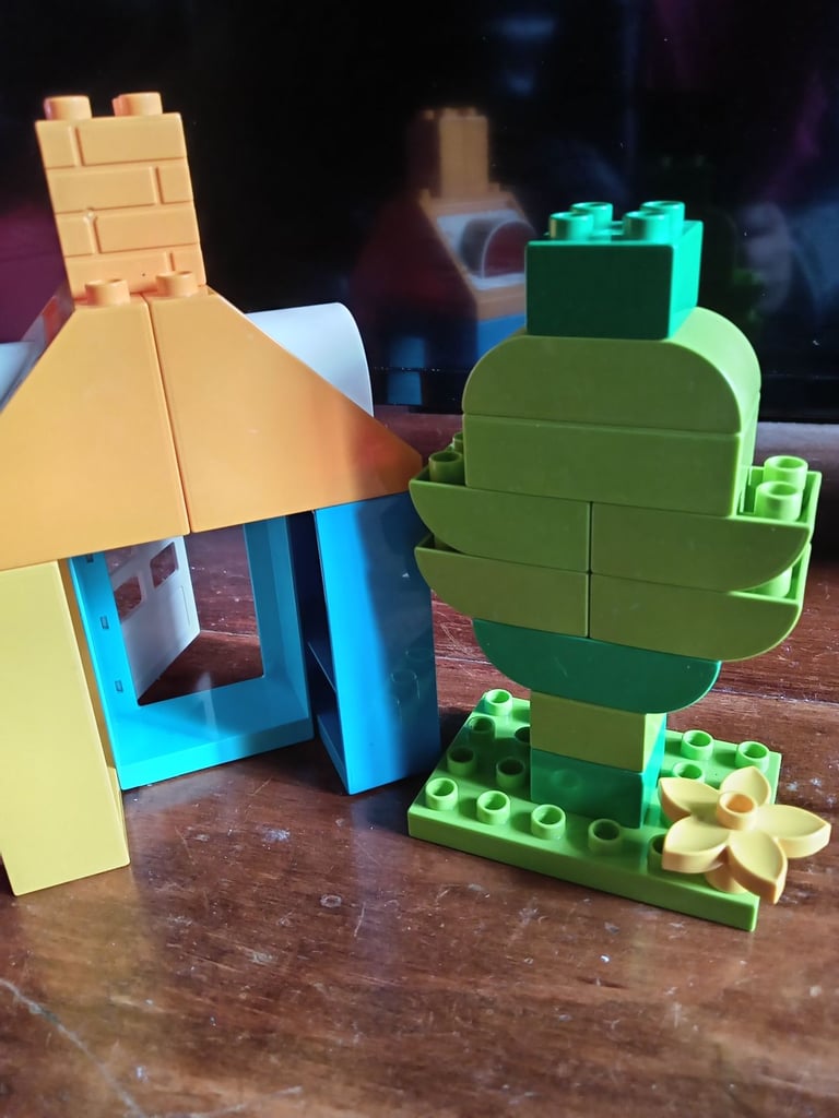 House Lego Duplo 