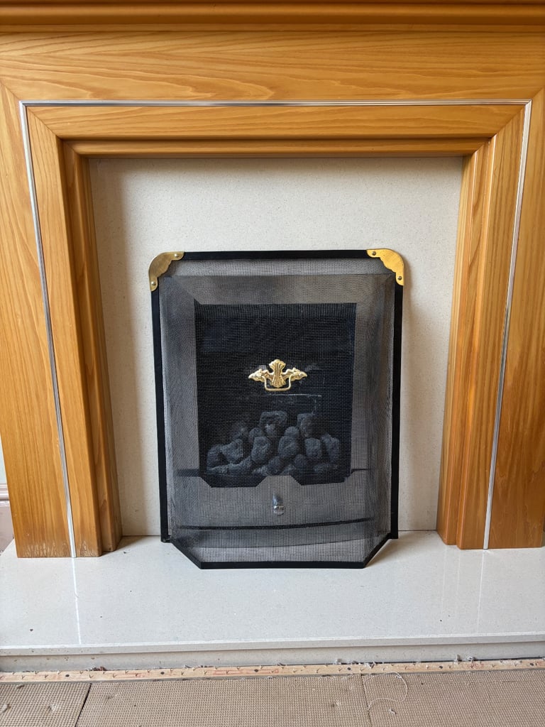 image for Metal Fireguard