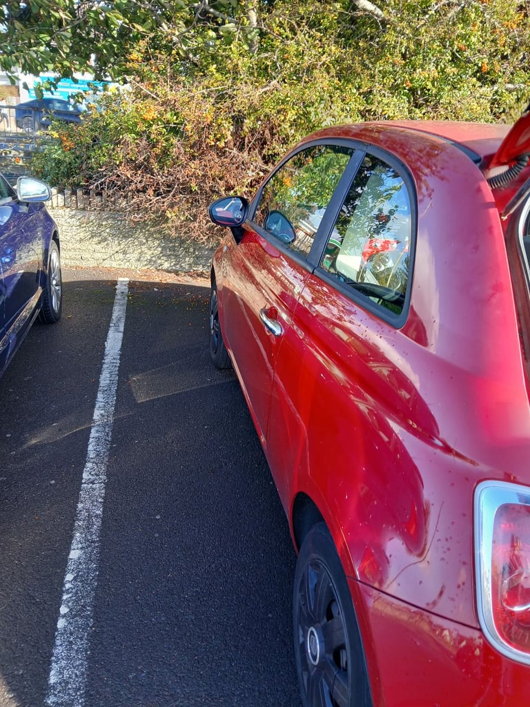 Fiat, 500, Hatchback, 2009, Manual, 1242 (cc), 3 doors