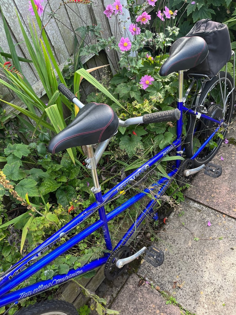 Electric tandem