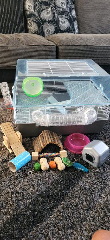 Large hamster cage (complete set up)