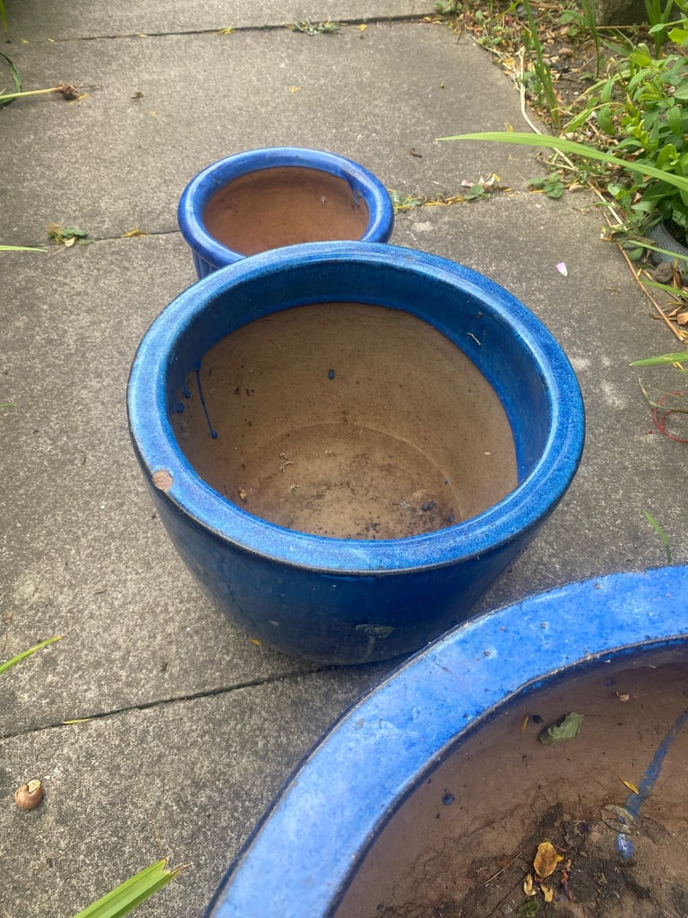 Blue ceramic pots+ White Pot 
