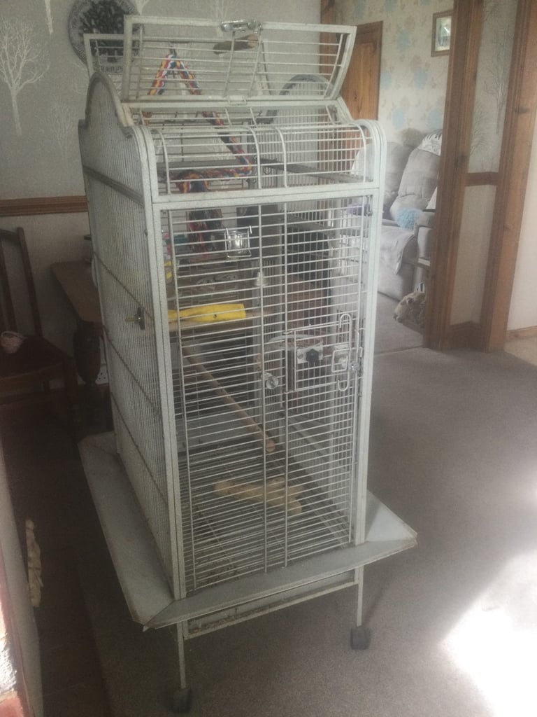 Large parrot cage