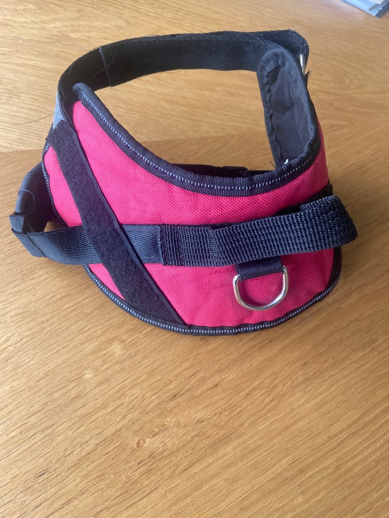 Small dog harness & 2 leads