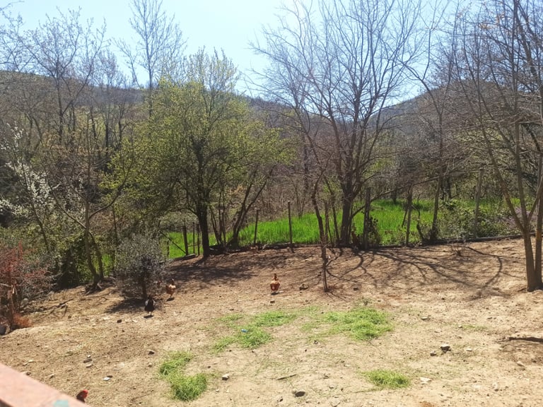 Greece - land with storage/house for sale in Central Greece close to Lake Plastira