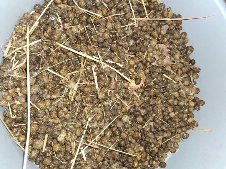 Pots of gold!!!!rabbit poos!manure!fresh!!delivered