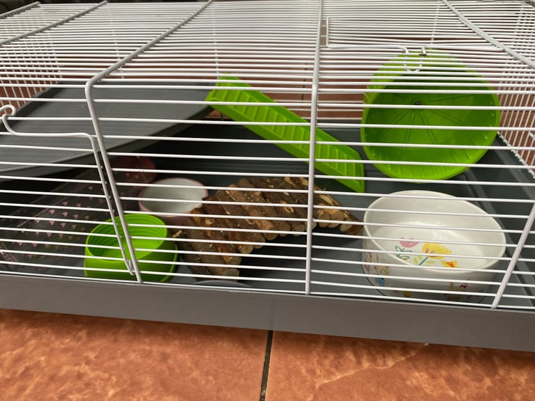 Hamster cage with accessories