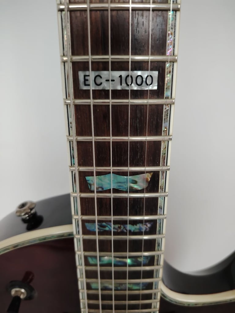 Esp (LTD) EC1000 Deluxe (with case)