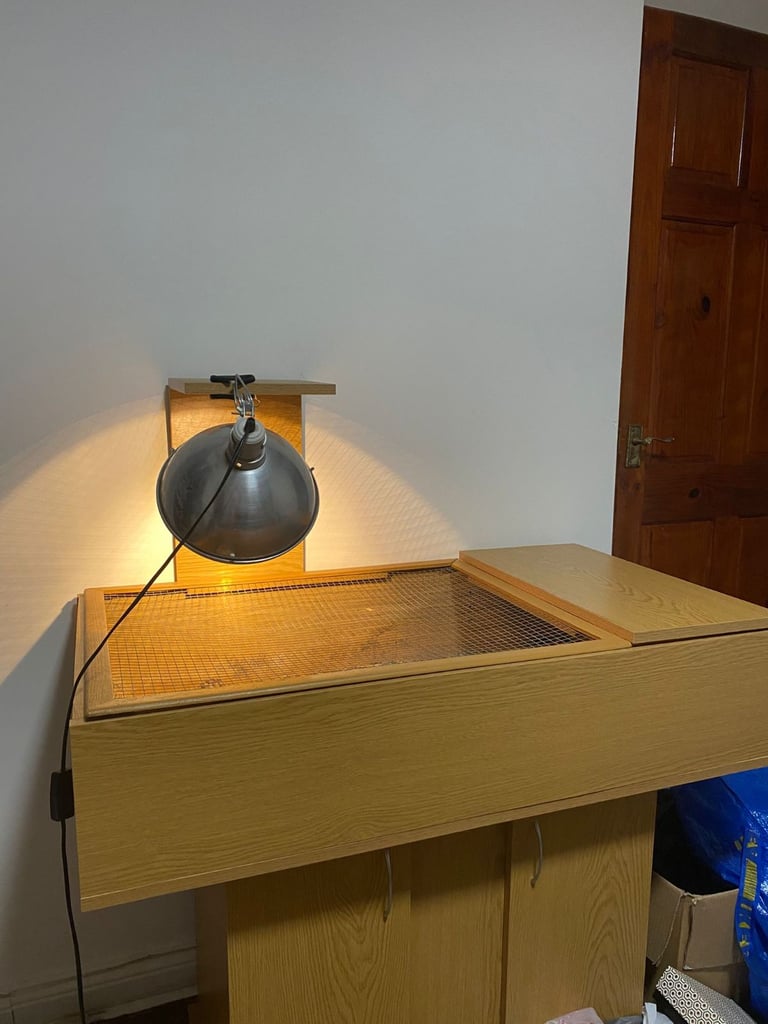 Large tortoise table with extras 