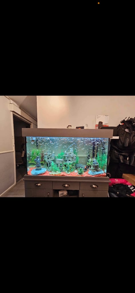***AVAILABLE**** Fish tank 