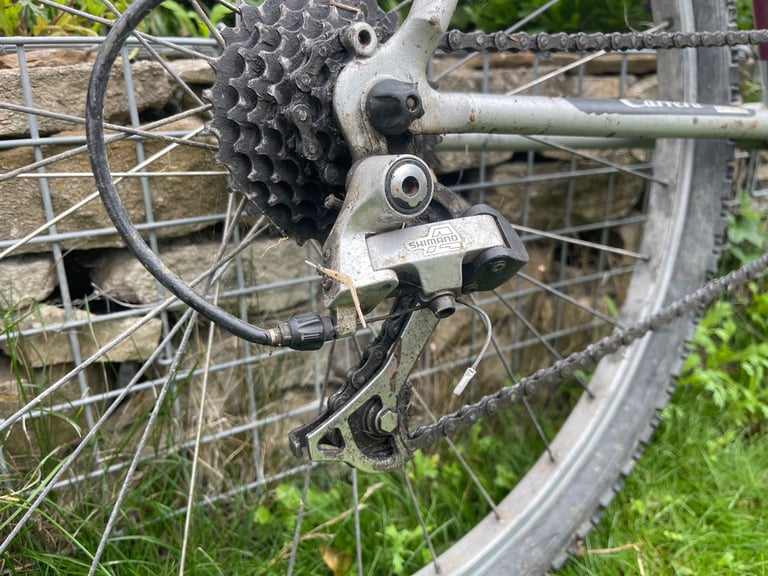 Men’s Carrera Bike
