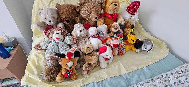 Bundle of 20+ Soft Toys – Teddies, Characters & Plush Animals