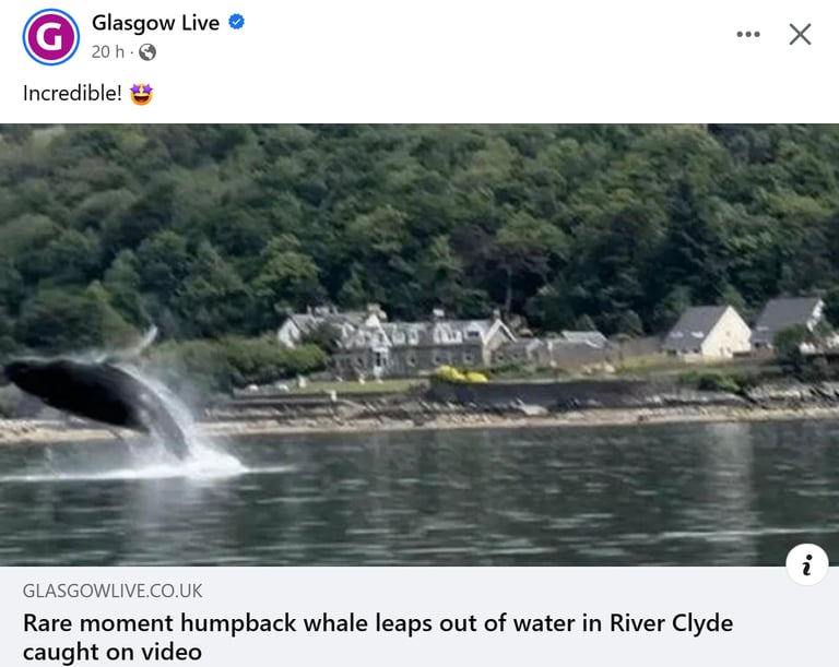 Govan Riverside Apartments (G51 2LN) - 3 bedrooms flat for long term let...