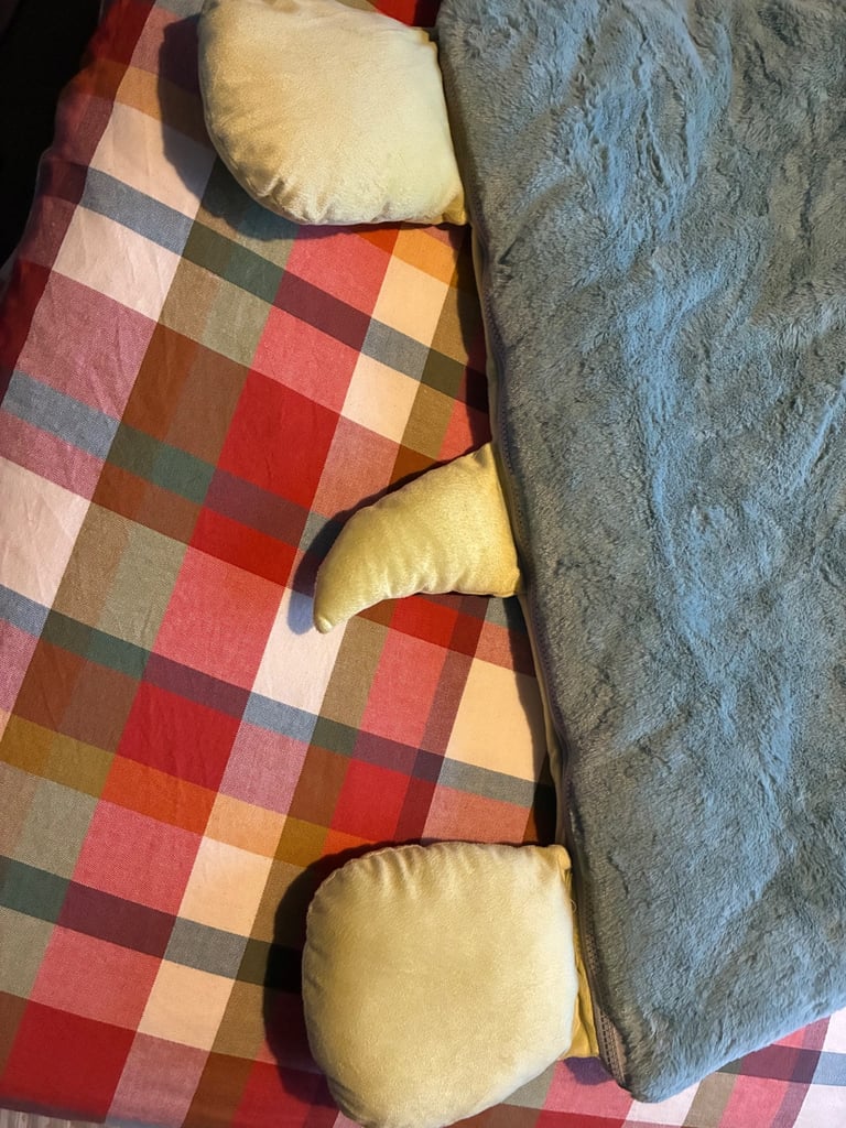 Dinosaur sleeping bag brand new