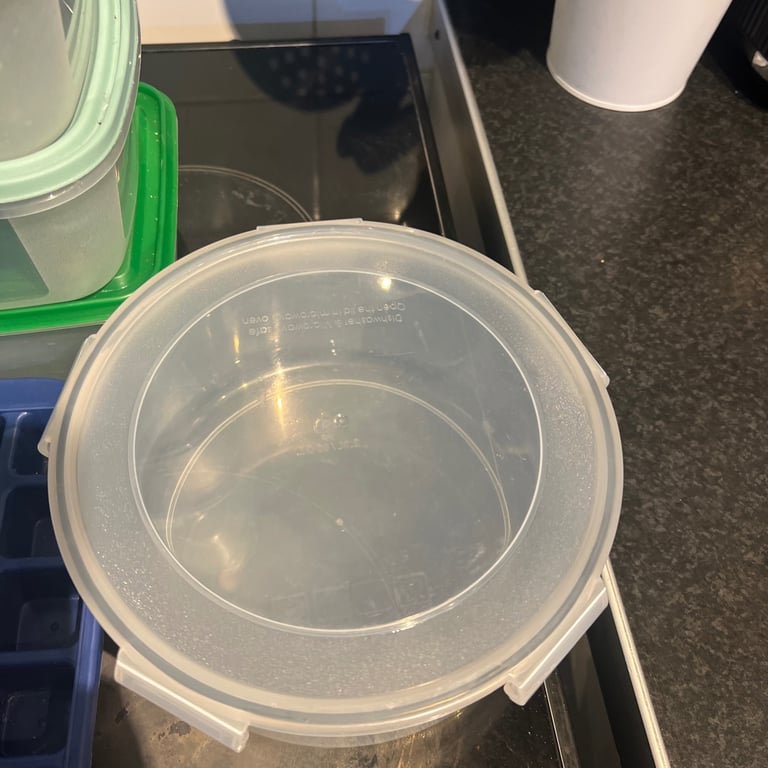 X19 item 15 Plastic Food Storage Containers - Family Sized and 4 ice cubes 