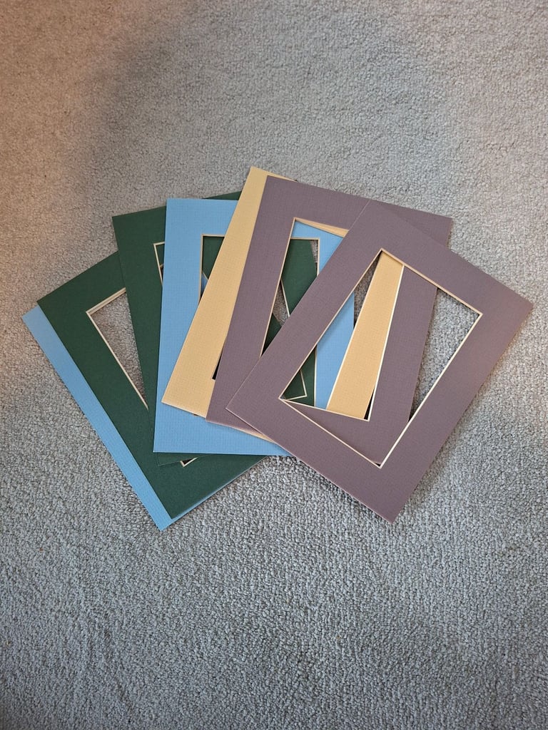 Cardboard picture/photo mounts
