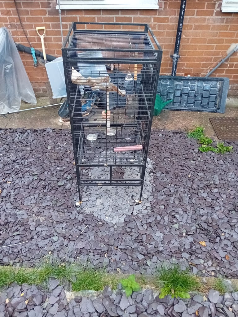 image for Parrot cage 
