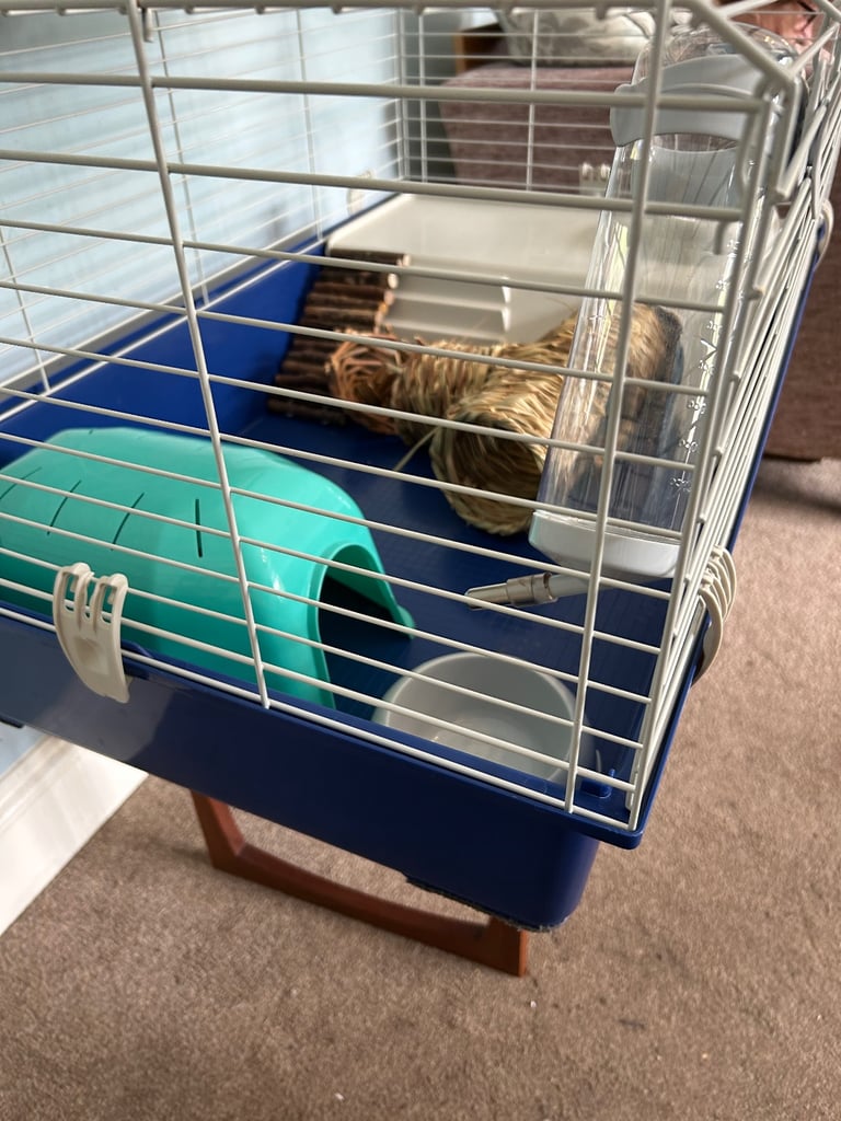 Animal Cage with Accessories H17in/43cm W37in/94cm D22in/56cm Excellent condition  D065