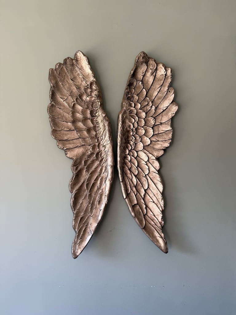 Beautiful Angel wings xtra large for wall. 