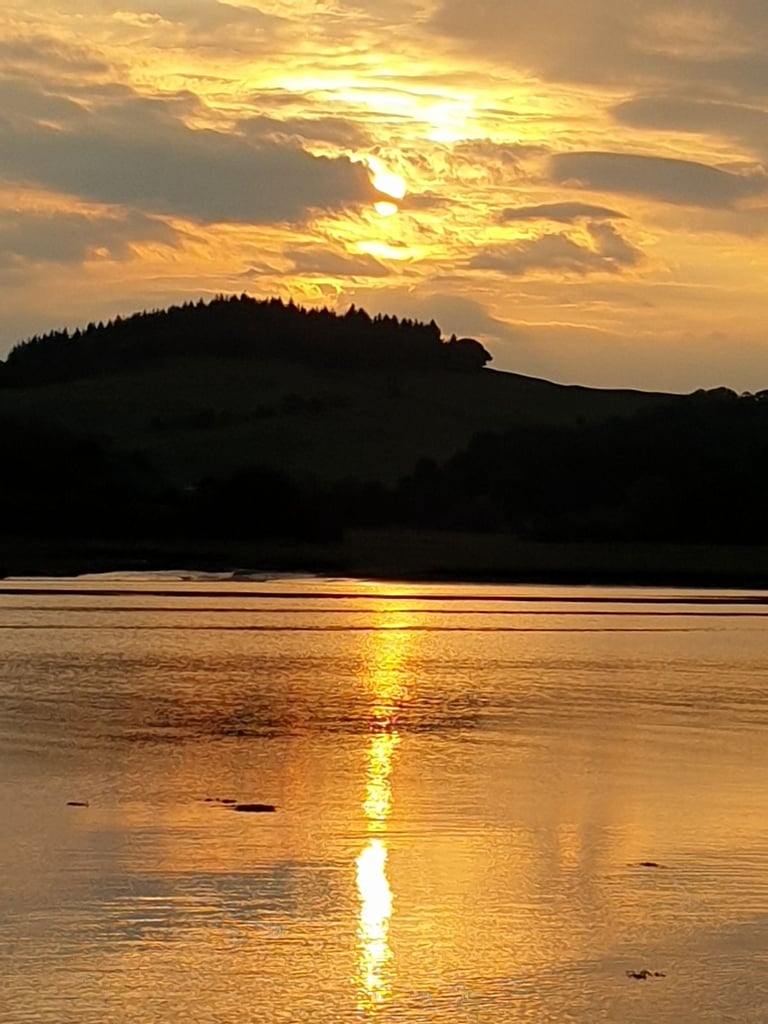 🌿 Holiday Rental, Coral Cabin, Swift Loire 3-Bed Static – Kippford Bay, Dumfries & Galloway 🌿
