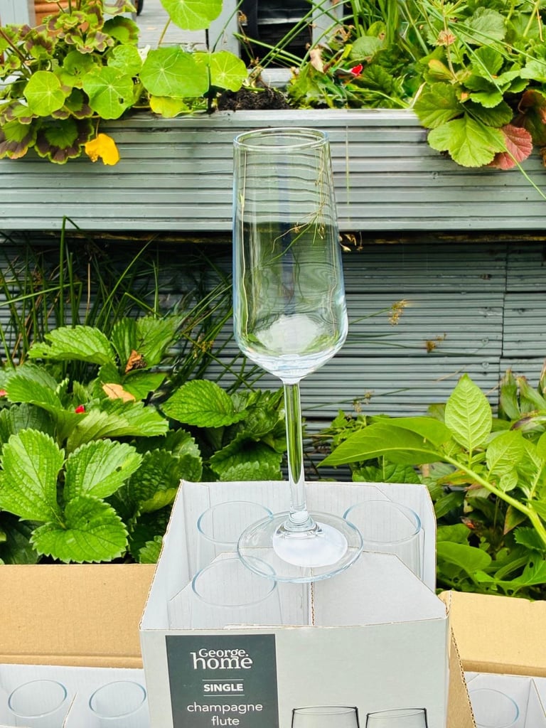 Set of Four champagne Glasses -  New