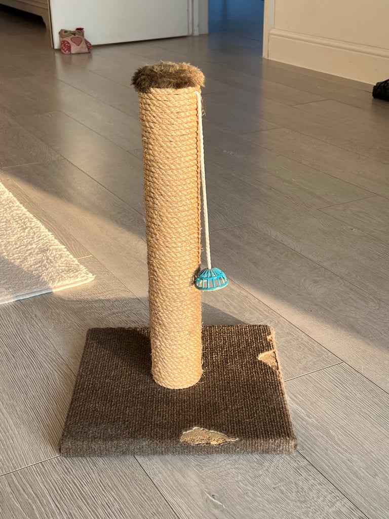Cat Scratcher Post 