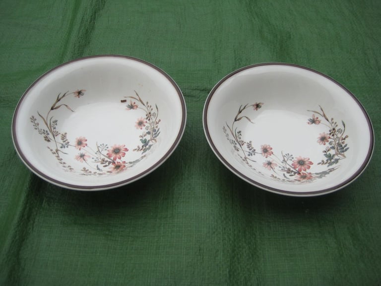 image for 2 Brand New Matching Arklow Honey Stone Glenwood Dessert/Cereal Bowls for £4.00