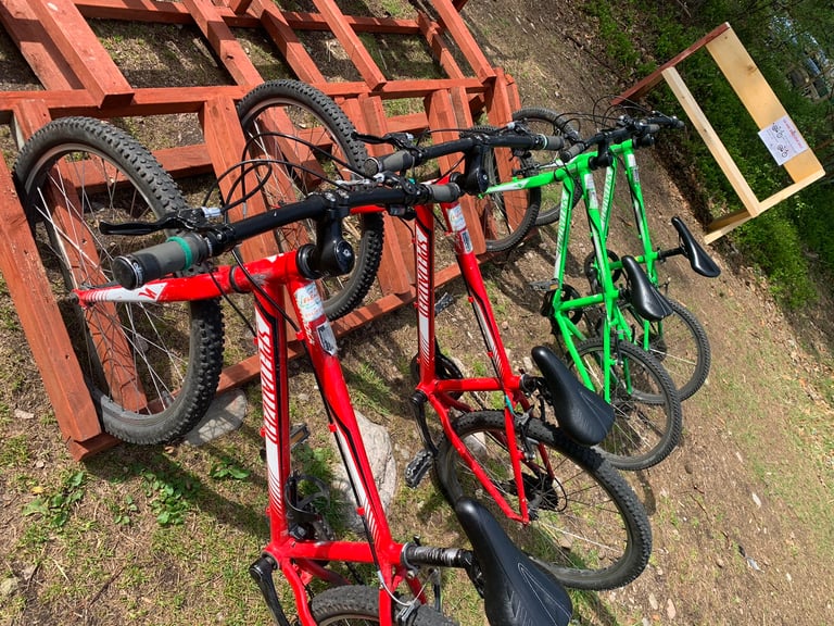 Kids ex-hire bikes for sale